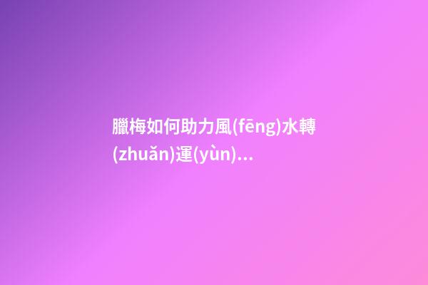 臘梅如何助力風(fēng)水轉(zhuǎn)運(yùn) 可有提升事業(yè)運(yùn)的效果